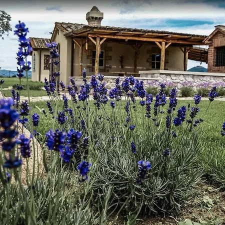 Casa Terzerie
