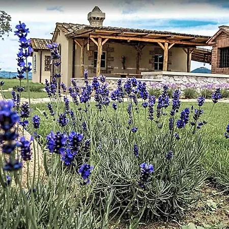 فندق مبيت وإفطار Casa Terzerie Braccagni