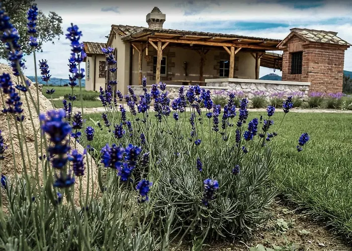 Casa Terzerie